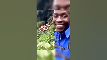 OK 🙂 #lazerviking #callofduty #codmw3 #codmw2 #bo6 #funnycodclips #shorts #triplecollateral #cod