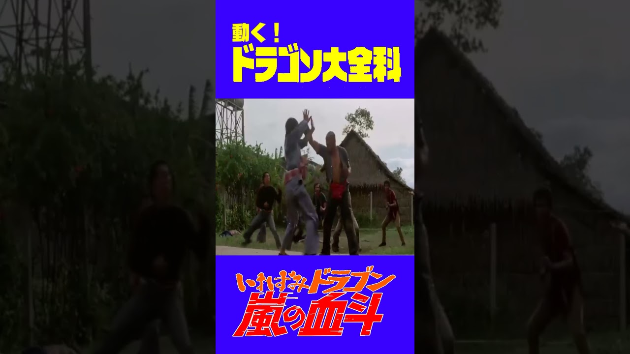 動く！ドラゴン大全科22『いれずみドラゴン嵐の血斗』 #shorts #kungfu