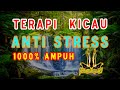 TERAPI UNTUK BURUNG TIDAK STRESS ! untuk semua jenis burung, dijamin 1000% Ampuh!