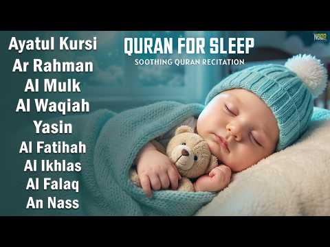 Peaceful Quran Recitation For Sleep | Ayatul Kursi, Yasin, Ar-Rahman, Al-Waqiah, Al-Mulk