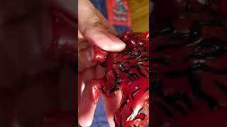 Venomized and Venom HotToys Cosbaby collection review. Venomized and Venom HotToys Cosbaby collection review.