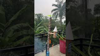 COOL IDEAS!  FOR RC MISSILE BROOMS EXPERIMENT #rc #diyprojects #diy #idekreatif #missile