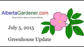 Play video: July 5 2015 Greenhouse Update