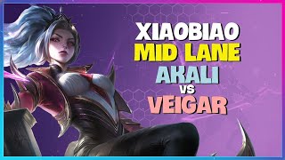 XiaoBiao Unlocks Flawless Chinese Super Server Mechanics with Master Akali Execution Engsub