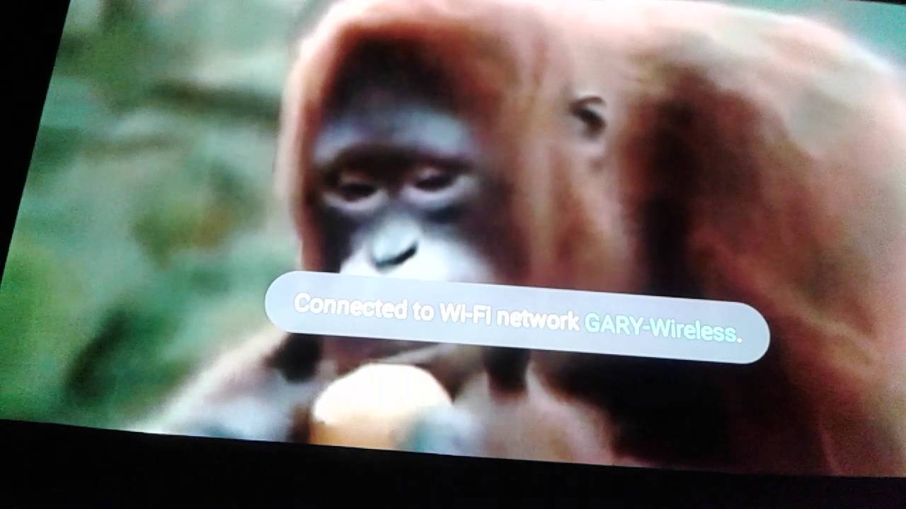 Swaggy monkey YouTube
