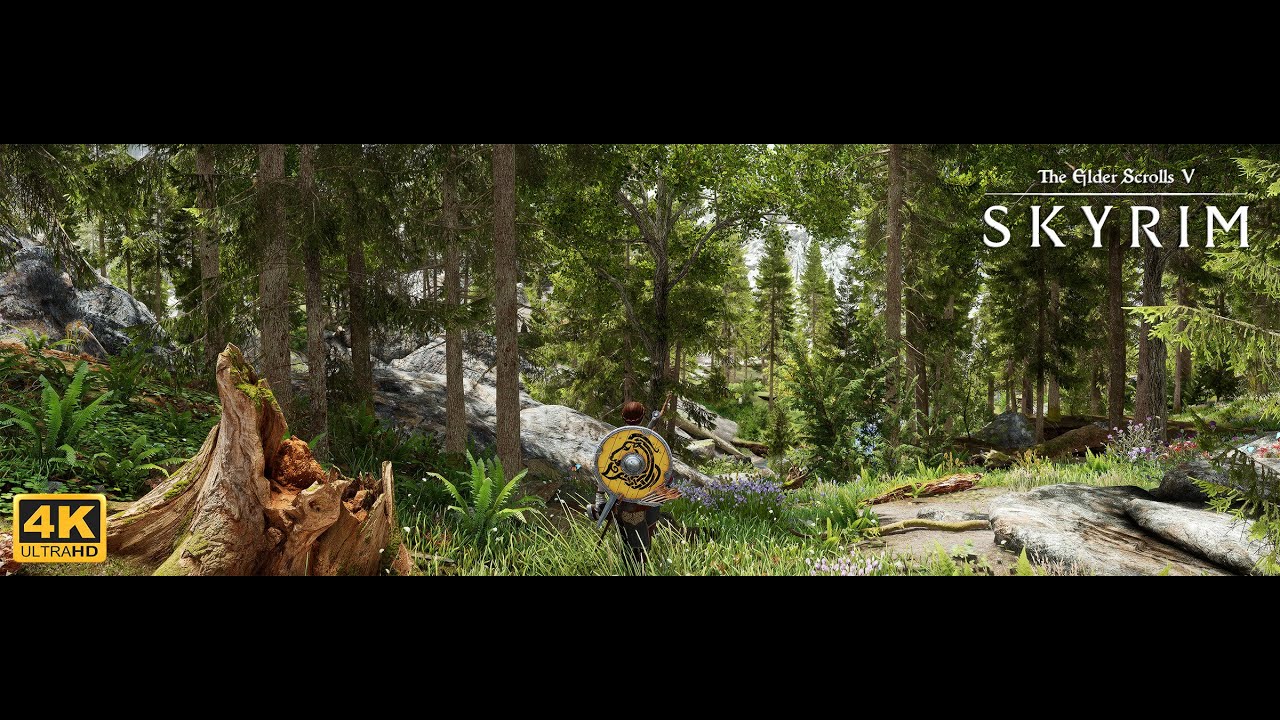 [4K] SKYRIM SE Ultra Modded Gameplay with Ulvenwald Forests Mod - YouTube