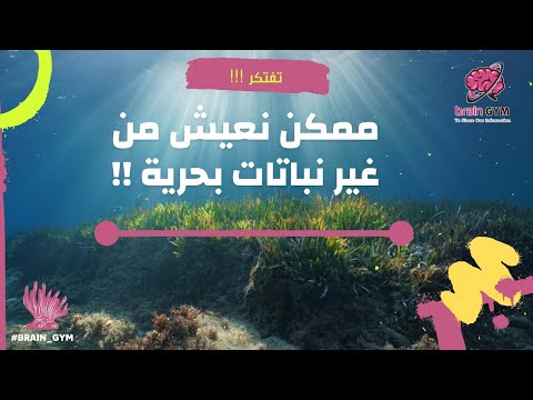 Marine Plants النباتات البحرية