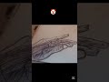 #art #drawing