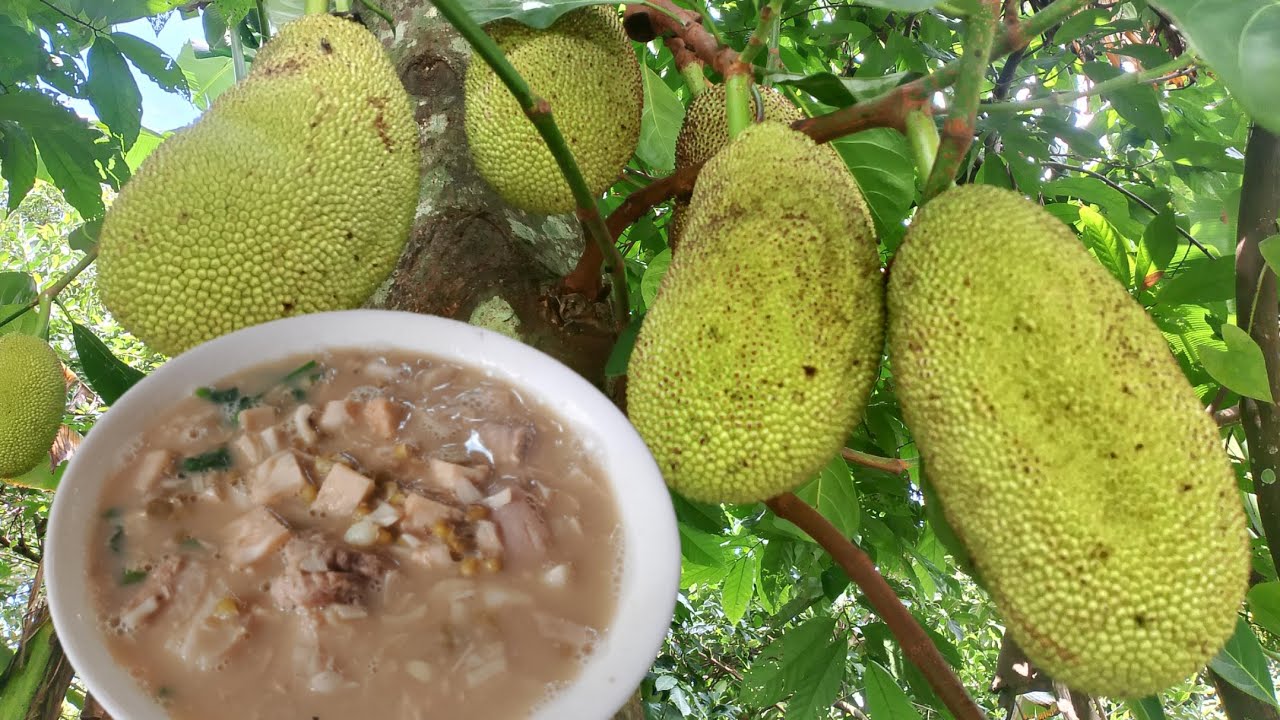 A famous Visayan Dish in Philippines - Countryside Life 