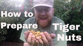 Cooking Tiger nuts