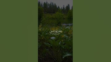 #عبدالله_الموسى #تلاوات #القرآن_الكريم #تلاوة_خاشعة #القرآن #آيات #تلاوة #quran #قرآن#قران_كريم#ترند