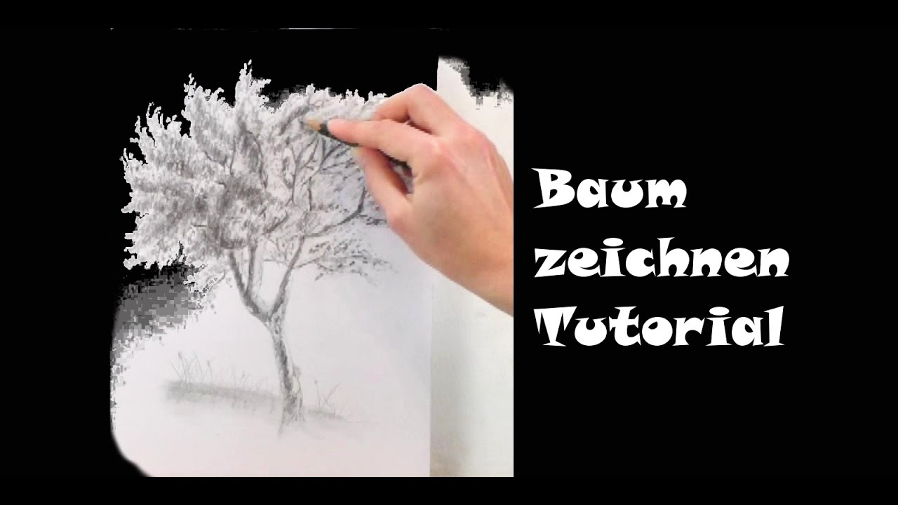 Zeichnen Lernen Baum Zeichnen Mit Bleistift Youtube