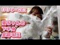 【ティファニーちゃん】猫ちゃんの下半身が全部毛玉になっちゃった（泣）のでバリカンしたら一枚皮みたいなのが獲れました【チンチラ】