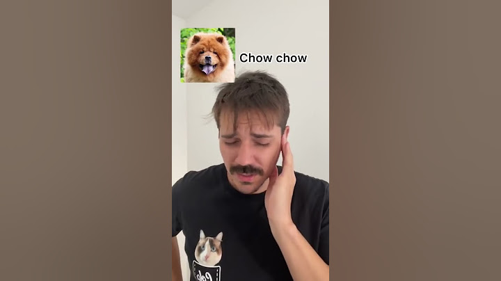 RAÇAS DE CÃES OUVINDO MÚSICA pt 2