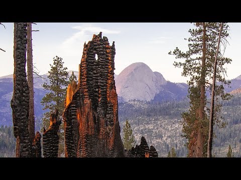 Fire & Water: Restoring natural fire to California's mountains