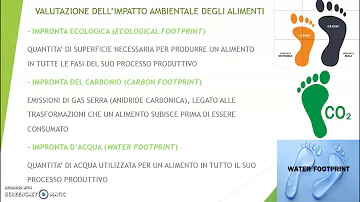 Che cos'è la piramide ambientale?