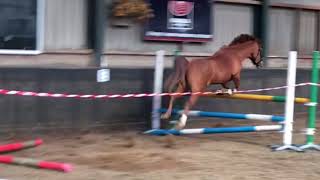 B8Fde766 43Fe 43E4 B46A 34Dca14Bd91D