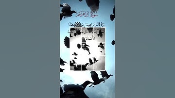 سورة ابراهيم@قرآن#ai #ادعم #اكسبلور