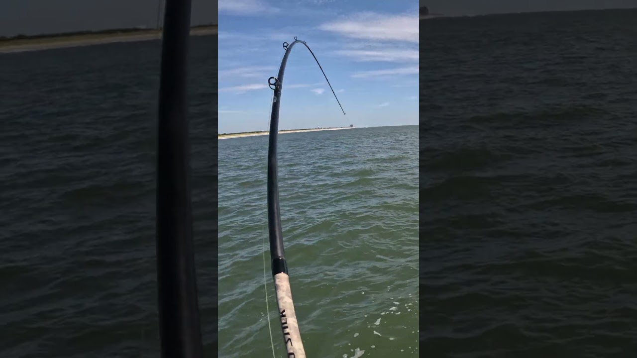 BOTTOM FISHING For BLUEFISH!