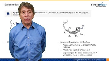 Epigenetics Brief
