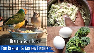 Bengali & Gouldian Finches Soft Food Recipe | Healthy Food For Adult & Baby Finch Birds screenshot 3