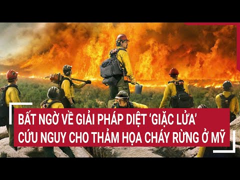 Bất ngờ về