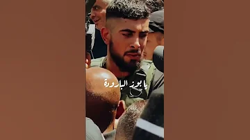طلت البارودة و السبع ماطل 