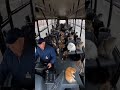 😱🐱 This Bus Is FULL of Cats… You Won’t Believe It#pets