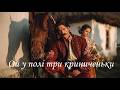 Ой у полі три криниченьки українська народна пісня Нове звучання Onoychenko Cover Music