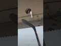 #comment #hockey #hockeyvideos #like #share #sports #subscribe #goprohero9