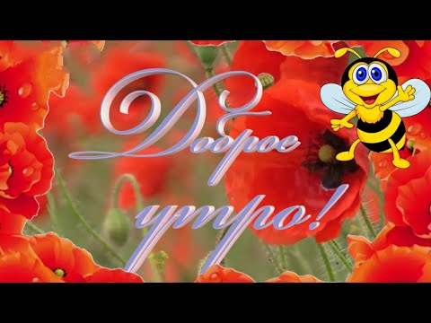 Счастливого Доброго Утречка 💝 ☕️ С Добрым Утречком Хорошего Дня Открытка.