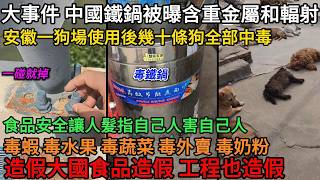 中國鐵鍋使用廢鐵製造，重金屬超標含有輻射，安徽一狗場使用後幾十條狗全部中毒，食品安全讓人髮指自己人害自己人 ，毒蝦、毒水果、毒蔬菜、毒外賣、毒奶粉等，造假大國食品造假，工程也造假#中國