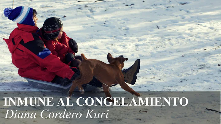 Inmune al congelamiento - Diana Cordero Kuri