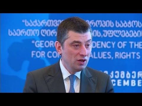 მწვავე გზავნილებში პრობლემას ვერ ვხედავთ -  გახარიას პასუხი  კონგრესმენების კრიტიკას