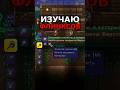 Изучаю Флинксов /// Terraria Новичок