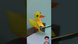 Is That A Duck Ghost