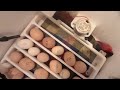 50 egg Automatic tray made out of plastic