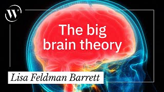 An evolutionary history of the human brain, in 7 minutes | Lisa Feldman Barrett