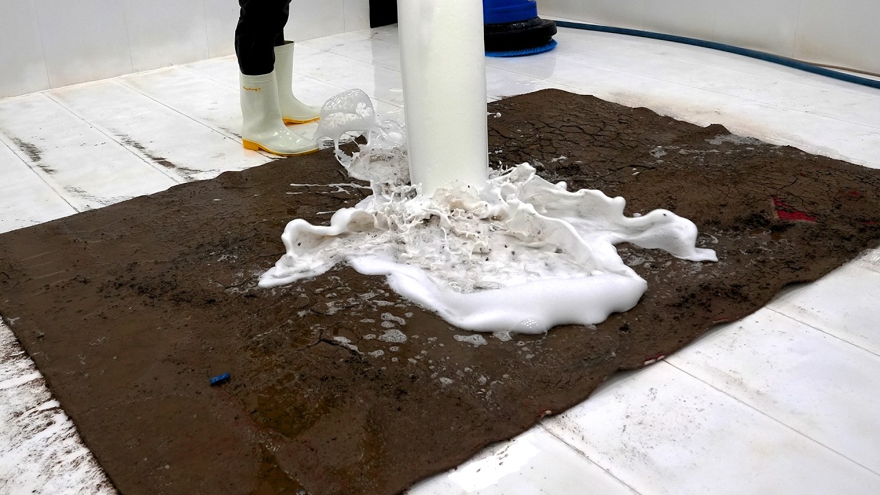 Over 25 Liters of Foam vs Solid Mud Carpet… The Result Was Wild – Carpet Cleaning ASM