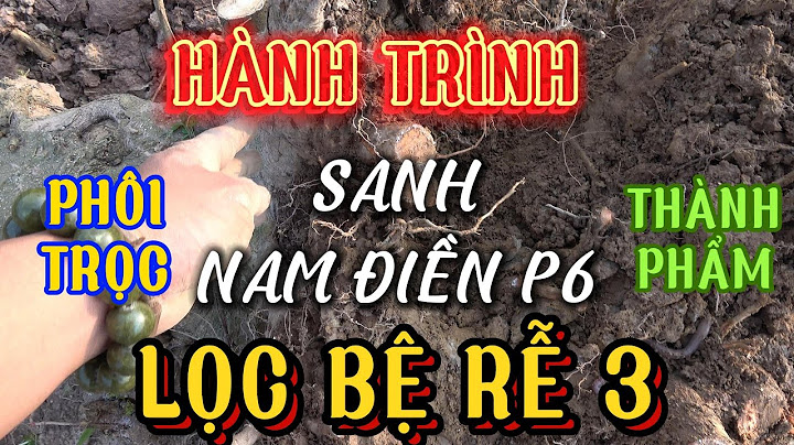 Bao nhiêu tuần mới có phôi thai năm 2024