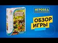 Запасливые белки. Обзор настольной игры-головоломки от Игроведа