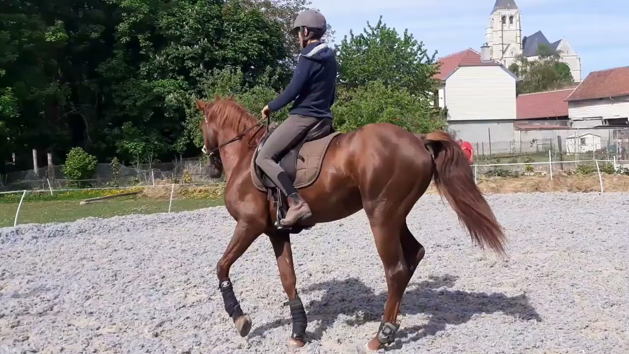 Nadal 14 mai 2022 monte sans mors .. arrêt du galop à la voix