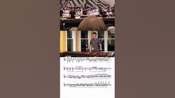 Music City Mystique 2025 Opening Marimba Feature?!? This may be my favorite Mystique show yet!!!