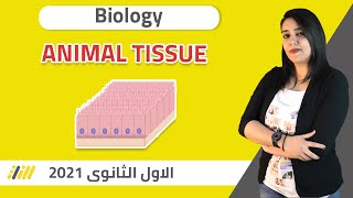 Biology | Animal Tissue | senior 1 - 1st term - 2021 | الخطة