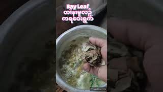 Download Lagu Manna Pack MP3