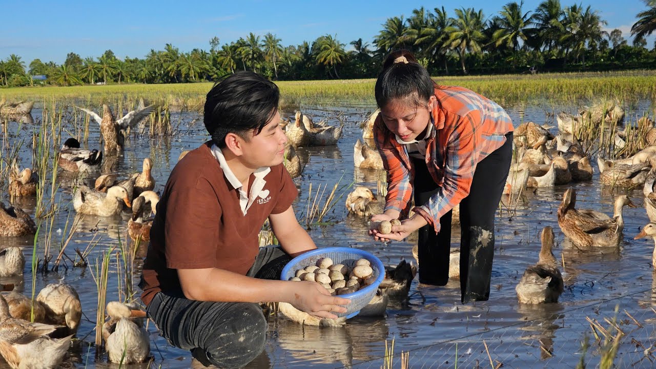ВЫ НЕ ПОВЕРИТЕ! Добрый человек помогает бездомной девочке собирать УТИНЫЕ ЯЙЦА в СЕЛЬСКОЙ МЕСТНОСТИ!