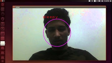 Automatic Sleep Detection using OpenCV