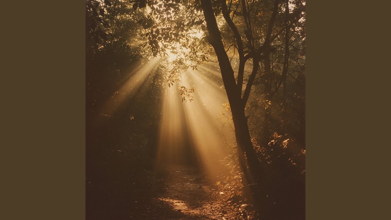 Guarda Soften (Forest) su YouTube Guarda Soften (Forest) su YouTube