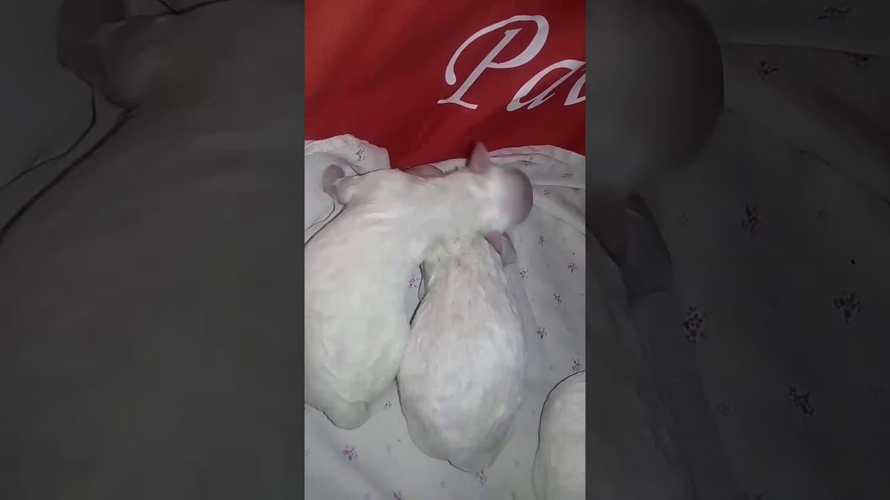 26 сентября 2019 г.