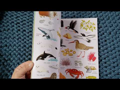 Usborne Books & More- First Sticker Book Nature